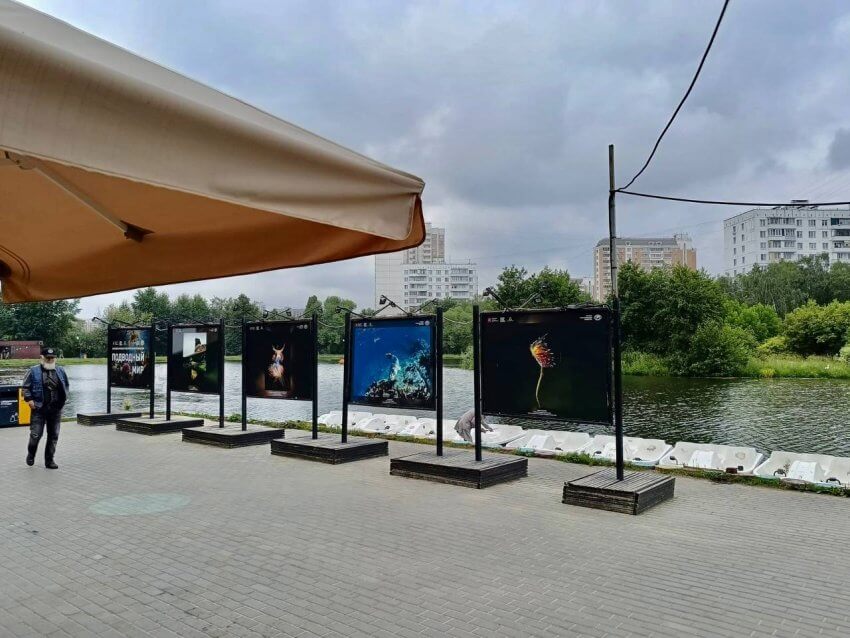 Фотовыставка про подводный мир открылась в парке «Ангарские пруды»