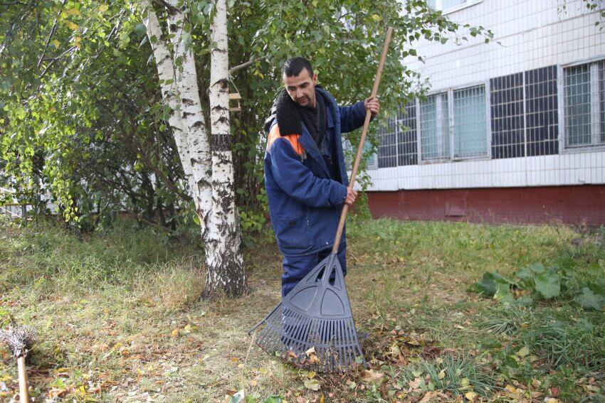 Пять ответов на вопросы жителей САО об уборке листвы