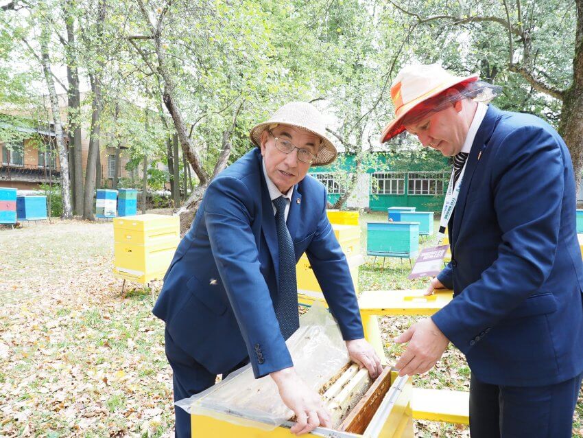 Профессор Тимирязевки рассказал, как выбирать продукты пчеловодства