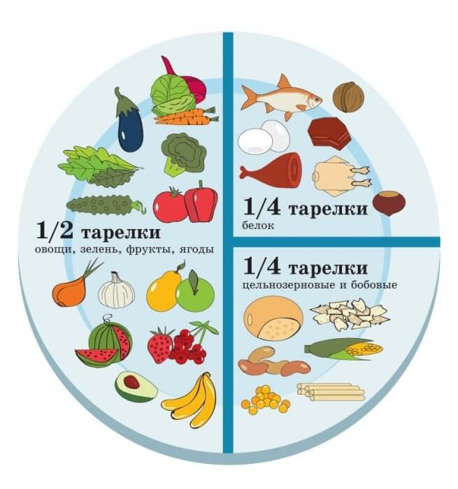 Инфографика: "Север столицы"