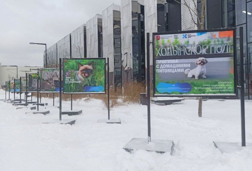 В парке на Ходынке отрылась посвященная домашним животным фотовыставка