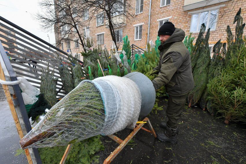 В округе открылись ёлочные базары